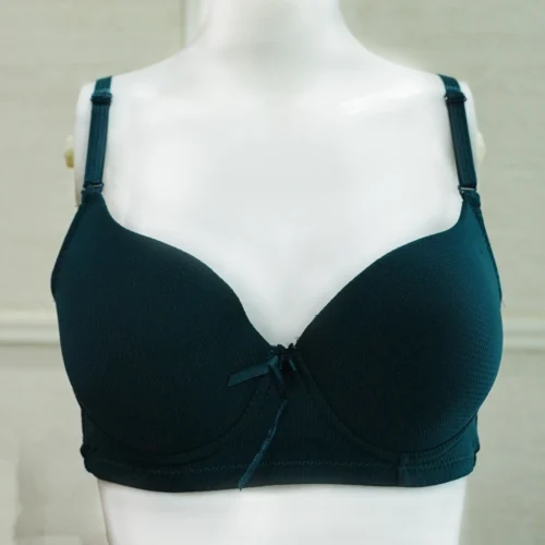 Forest Glow Seamless Bra front Forest Glow Seamless T-Shirt Bra for Women