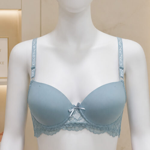 blue bra front_.jpg Smooth Fit Sky Blue Innerwear Bra for Women